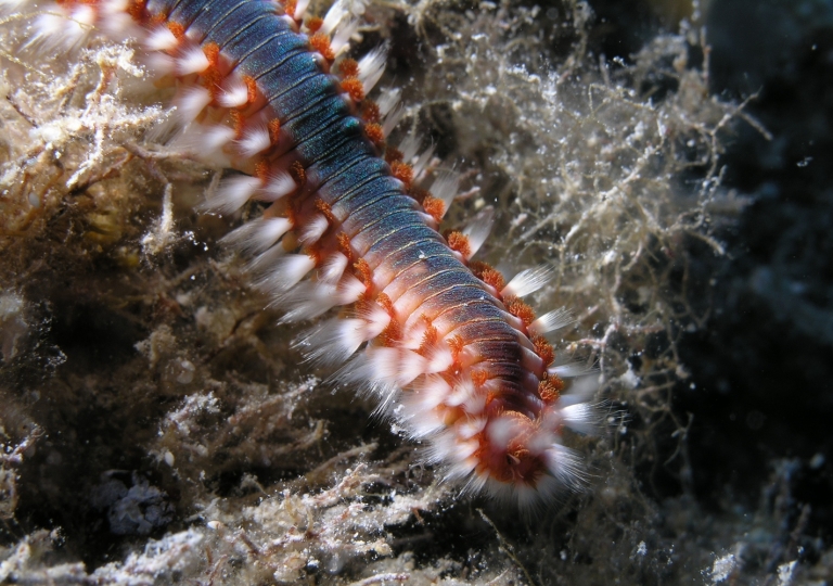 P7281564