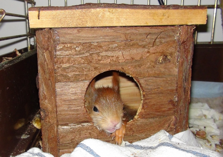 DSC00061