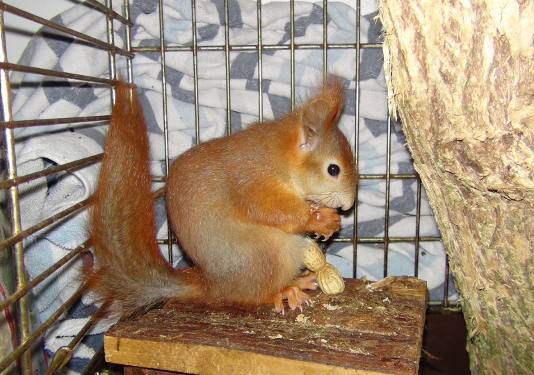 DSC00088